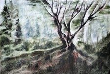 Quadro Acquerello Dipinto A